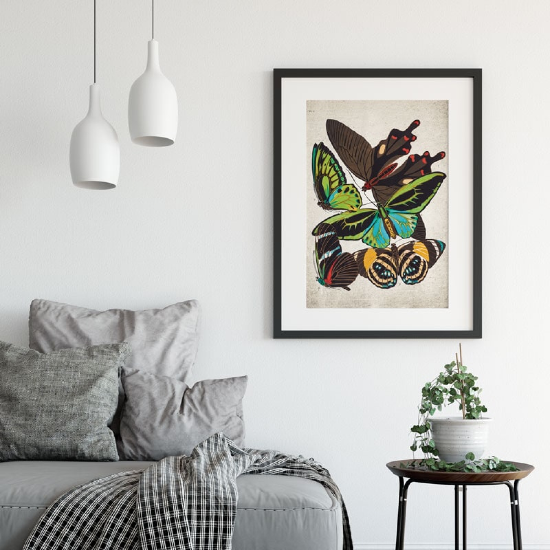 Vintage Entomology Giclee Print (Papilio Two 1925)