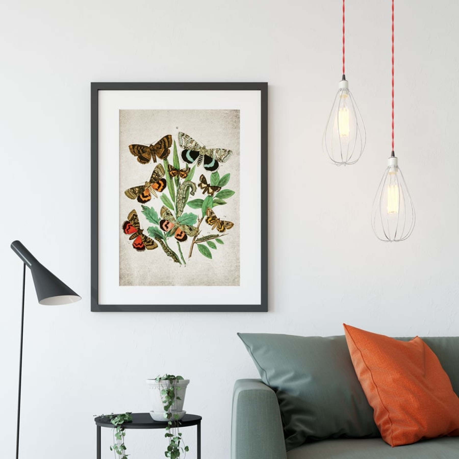 Vintage Entomology Giclee Print (European Moths Plate From 1882)