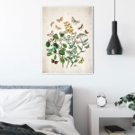 Vintage Entomology Giclee Print (British Butterflies Two Plate From 1882)