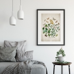 Vintage Entomology Giclee Print (British Butterflies Two Plate From 1882)