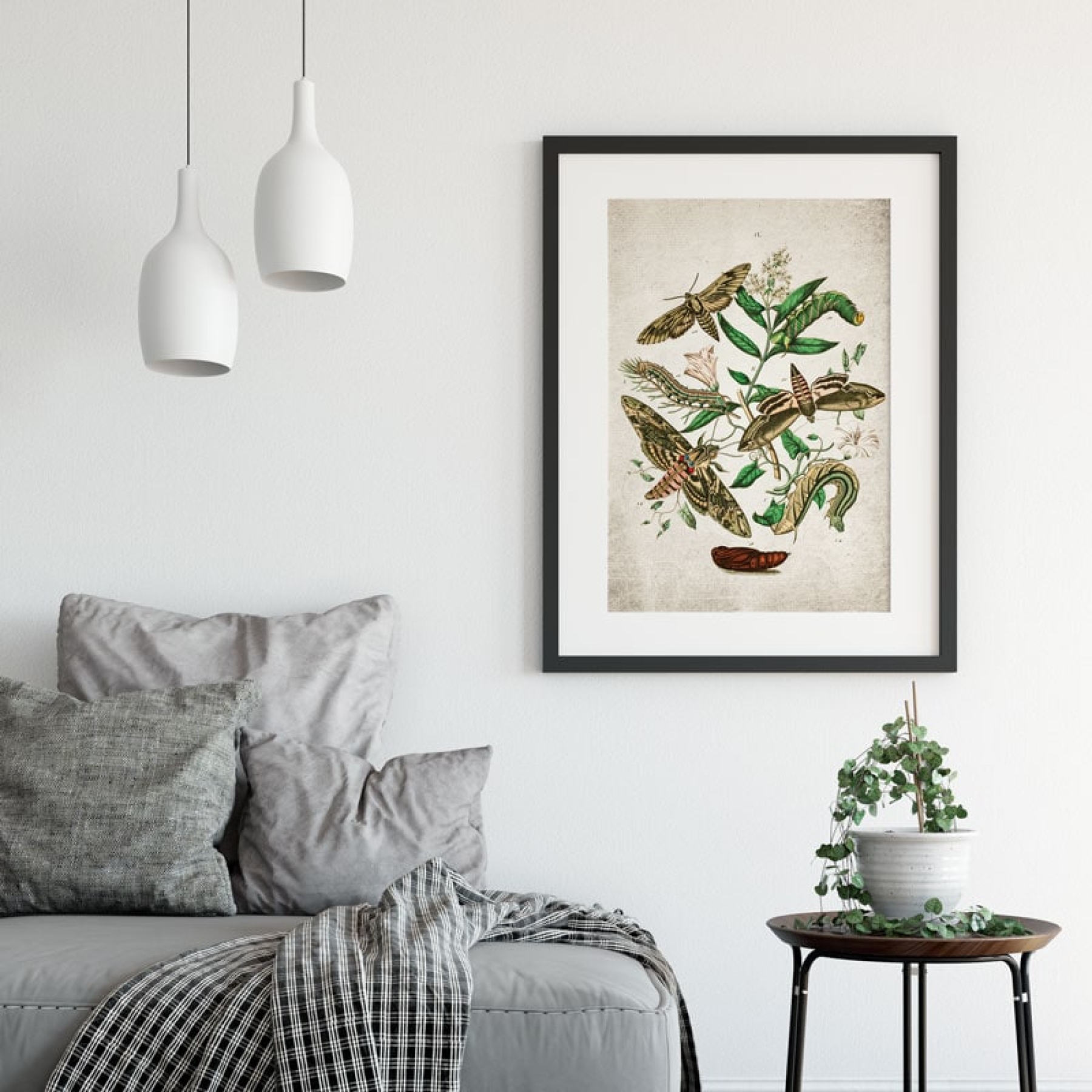 Vintage Entomology Giclee Print (European Hawk Moths Plate From 1882)