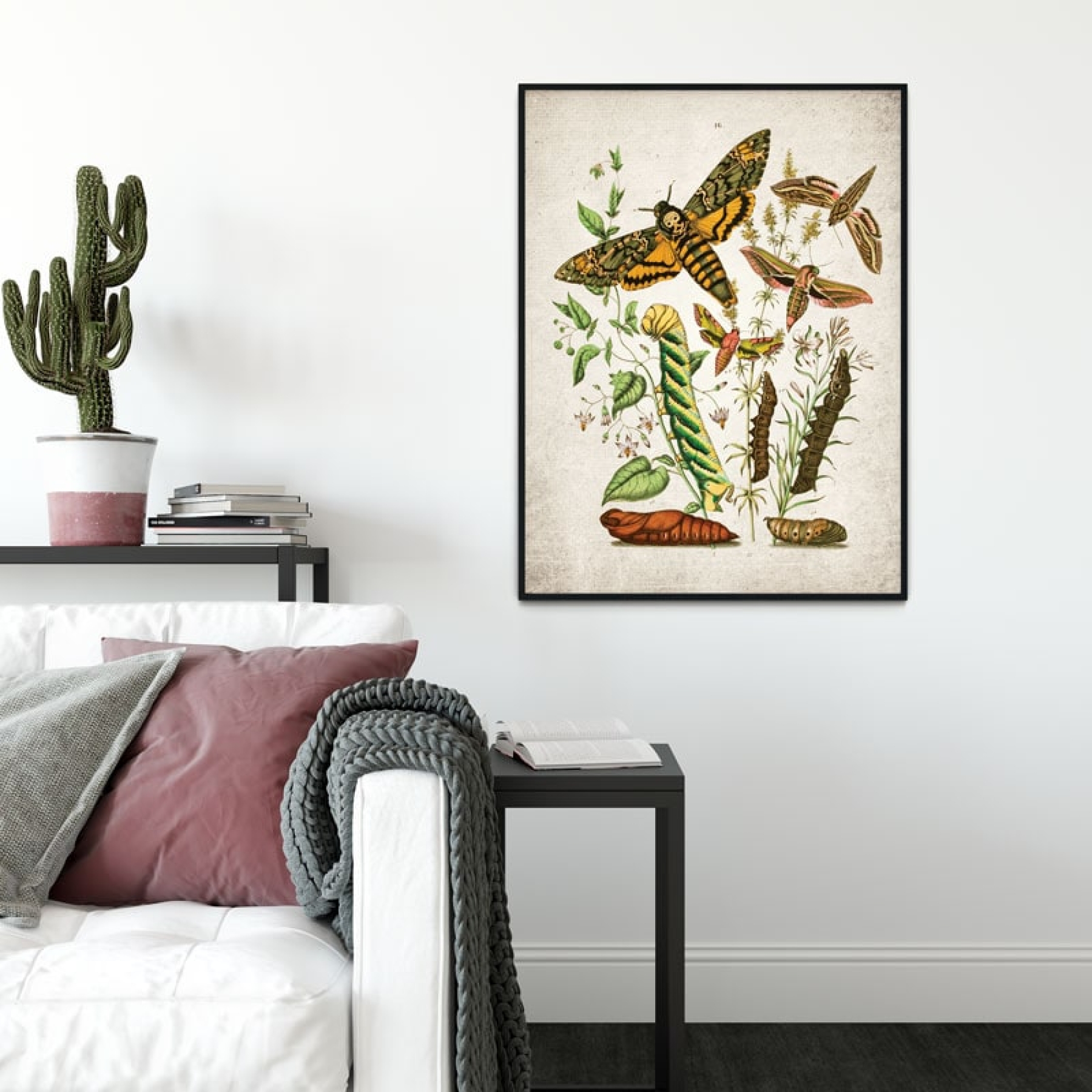 Vintage Entomology Giclee Print (Death Head Moth Plate From 1882)