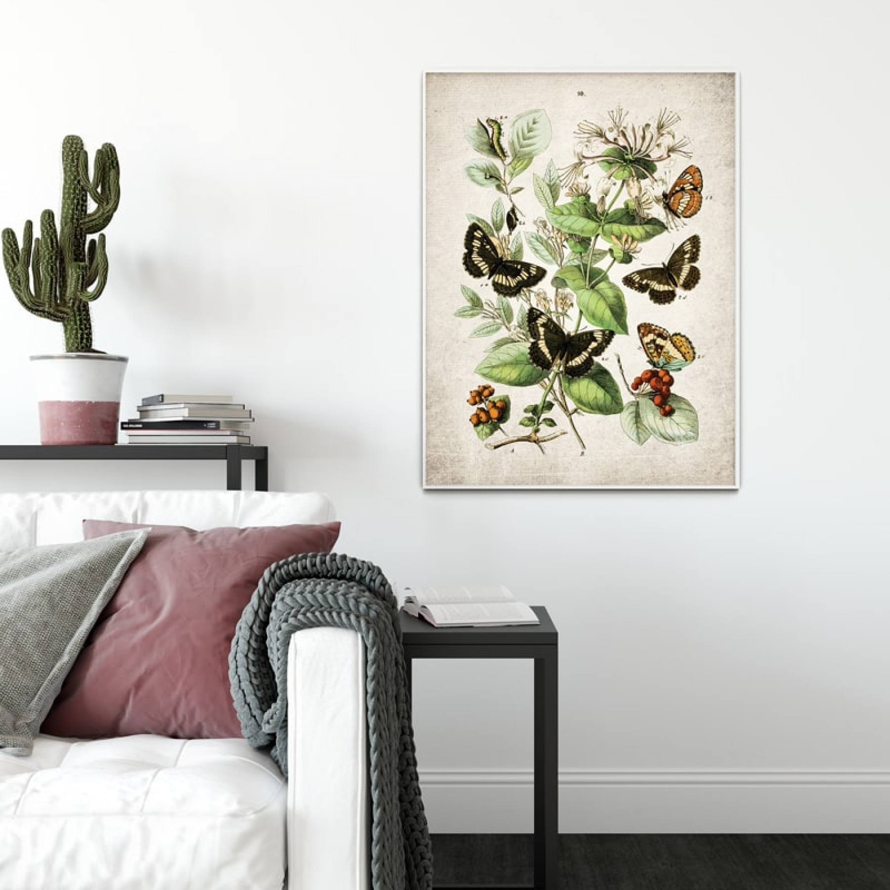 Vintage Entomology Giclee Print (European Butterflies Two 1882)