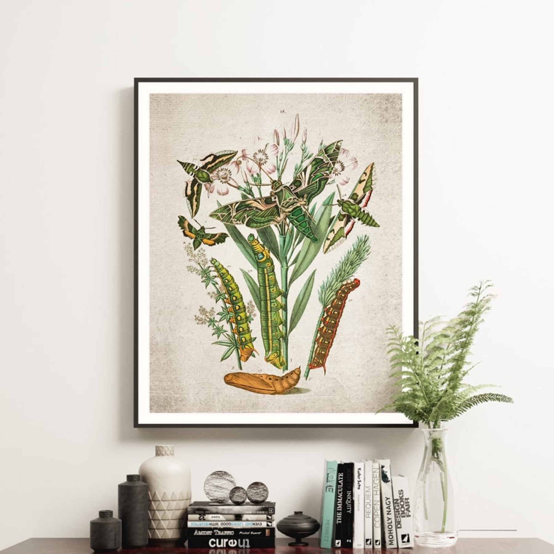 Vintage Entomology Giclee Print (Army Moth & Caterpillar Moth 1882)