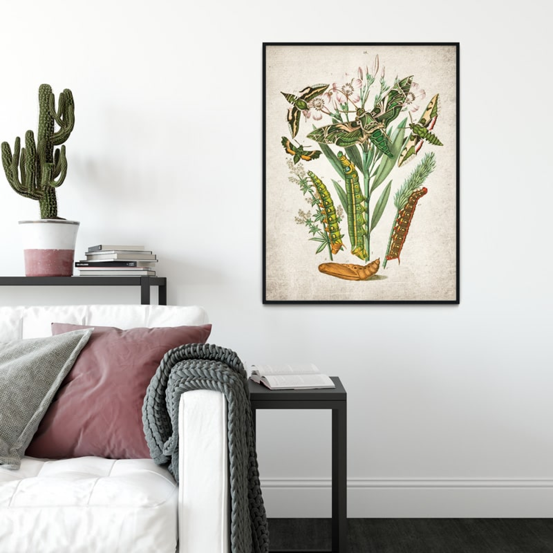 Vintage Entomology Giclee Print (Army Moth & Caterpillar Moth 1882)