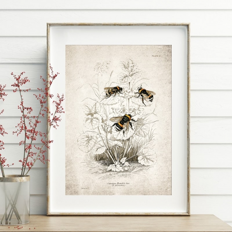 Vintage Entomology Giclee Print (Bee Scene 1925)