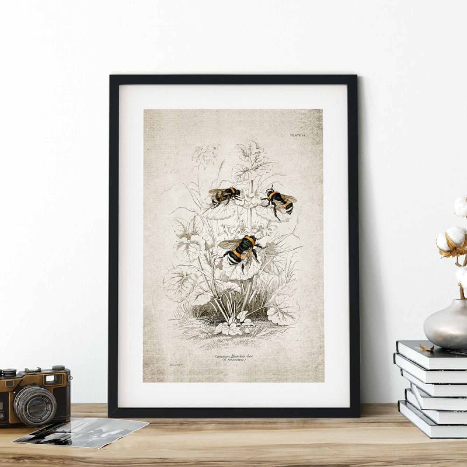 Vintage Entomology Giclee Print (Bee Scene 1925) Vintage Entomology Giclee Print (Bee Scene 1925)