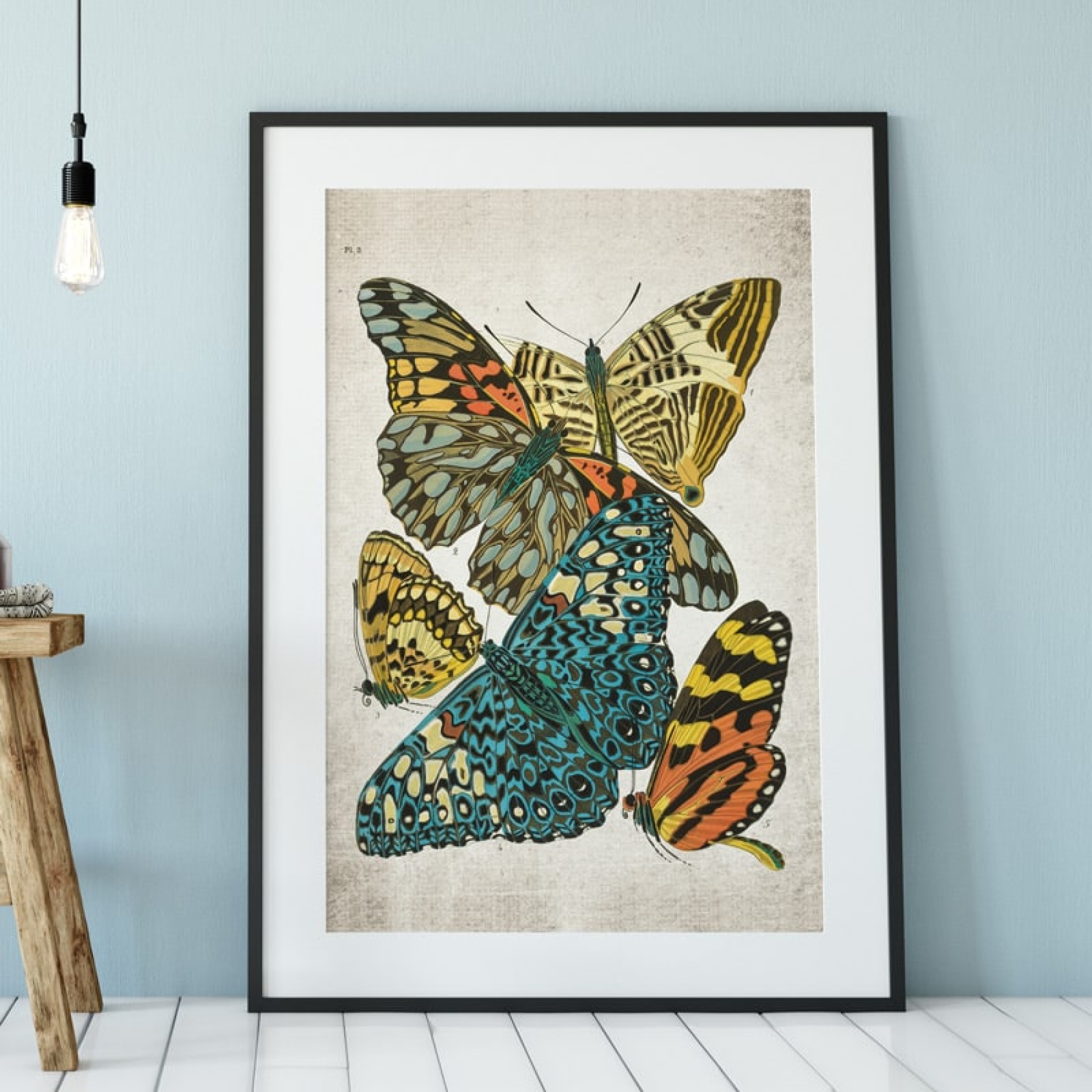 Vintage Entomology Giclee Print (Papilio Scene #3 from 1925)
