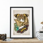 Minibeast Vintage Entomology Giclee Print (Papilio Scene #4 from 1925)