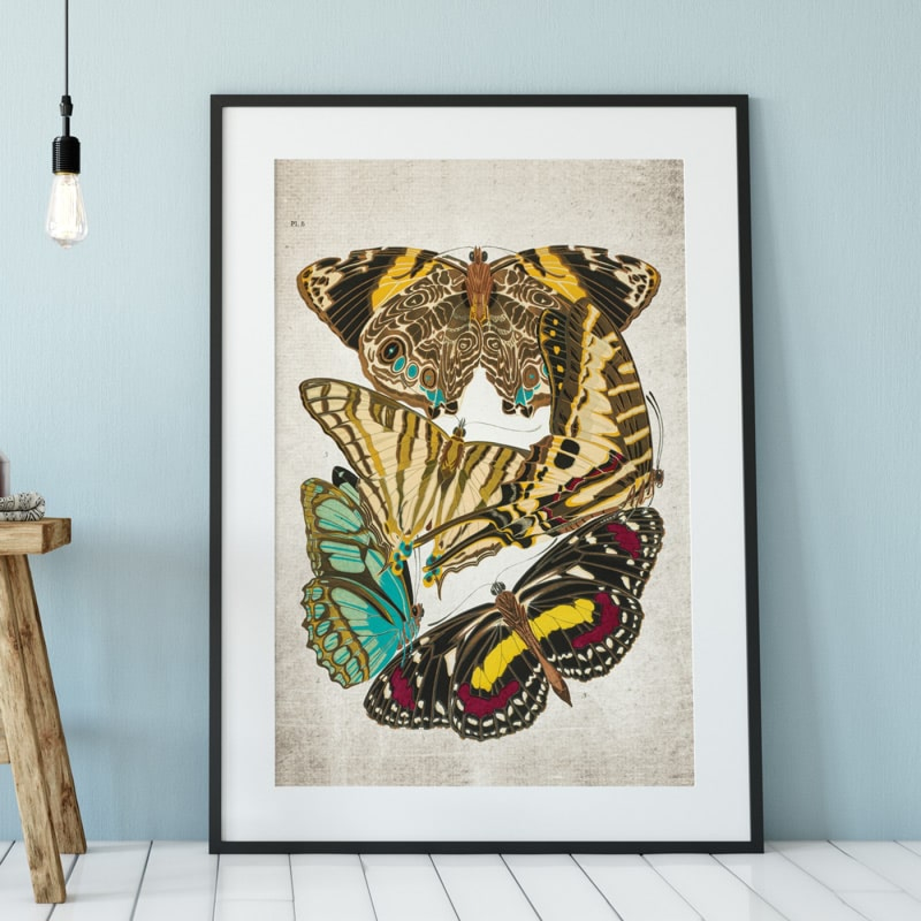 Vintage Entomology Giclee Print (Papilio Scene #4 from 1925)