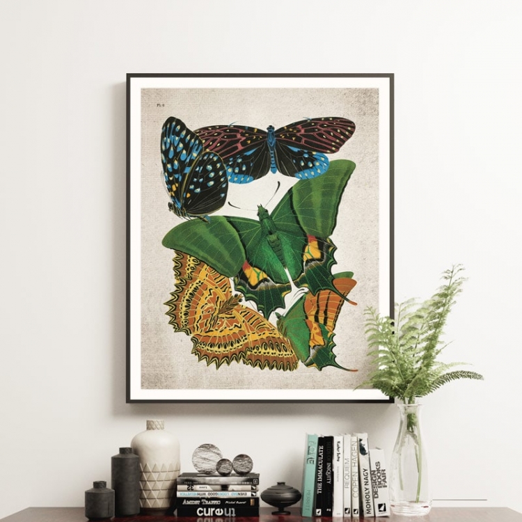 Vintage Entomology Giclee Print (Papilio Scene #5 from 1925)