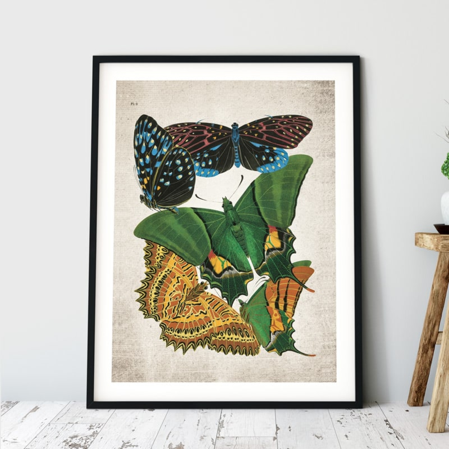 Minibeast Vintage Entomology Giclee Print (Papilio Scene #5 from 1925)