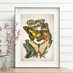 Minibeast Vintage Entomology Giclee Print (Papilio Scene #7 from 1925)