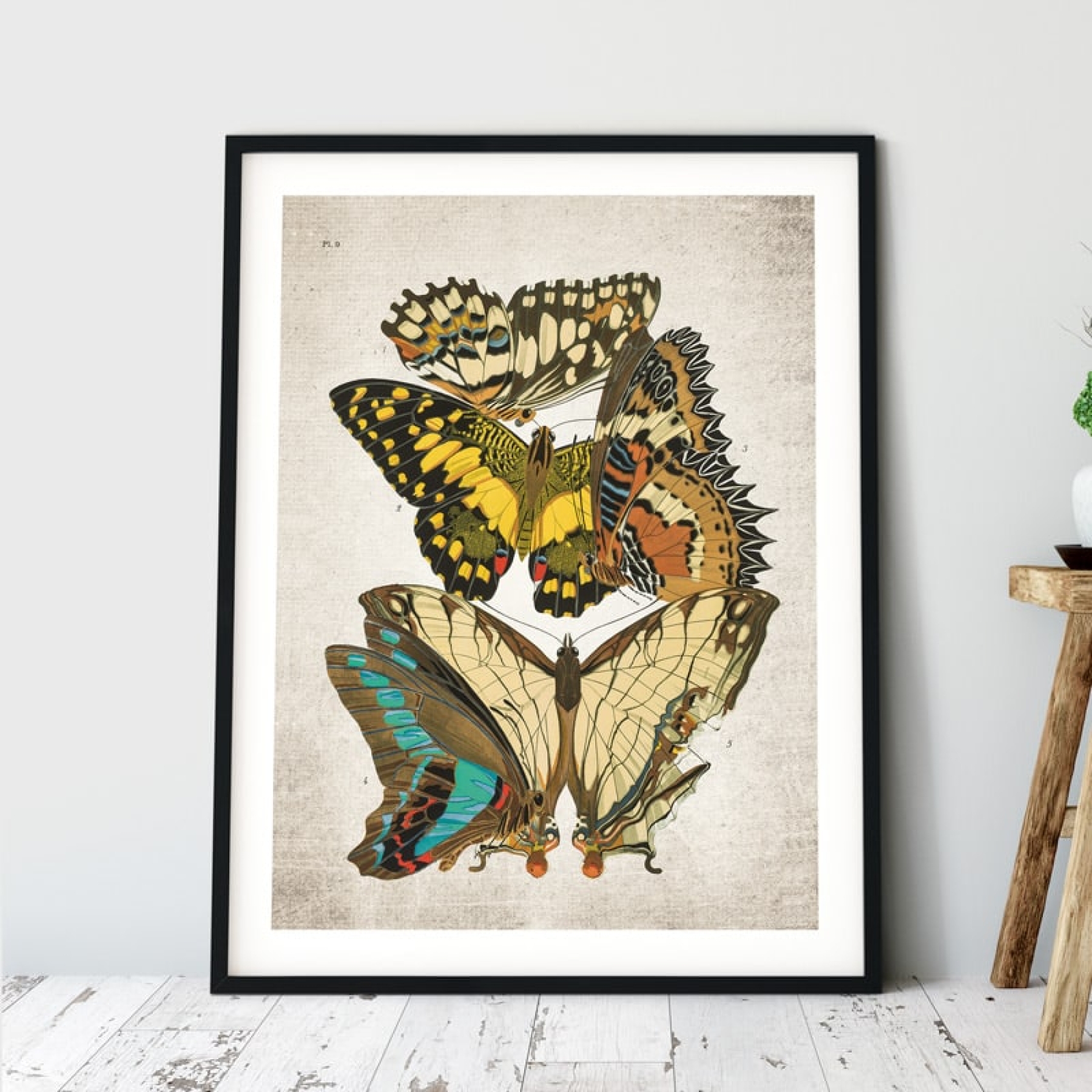 Vintage Entomology Giclee Print (Papilio Scene #7 from 1925)