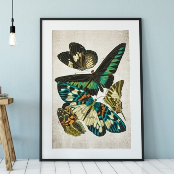 Vintage Entomology Giclee Print (Papilio Scene #8 from 1925)