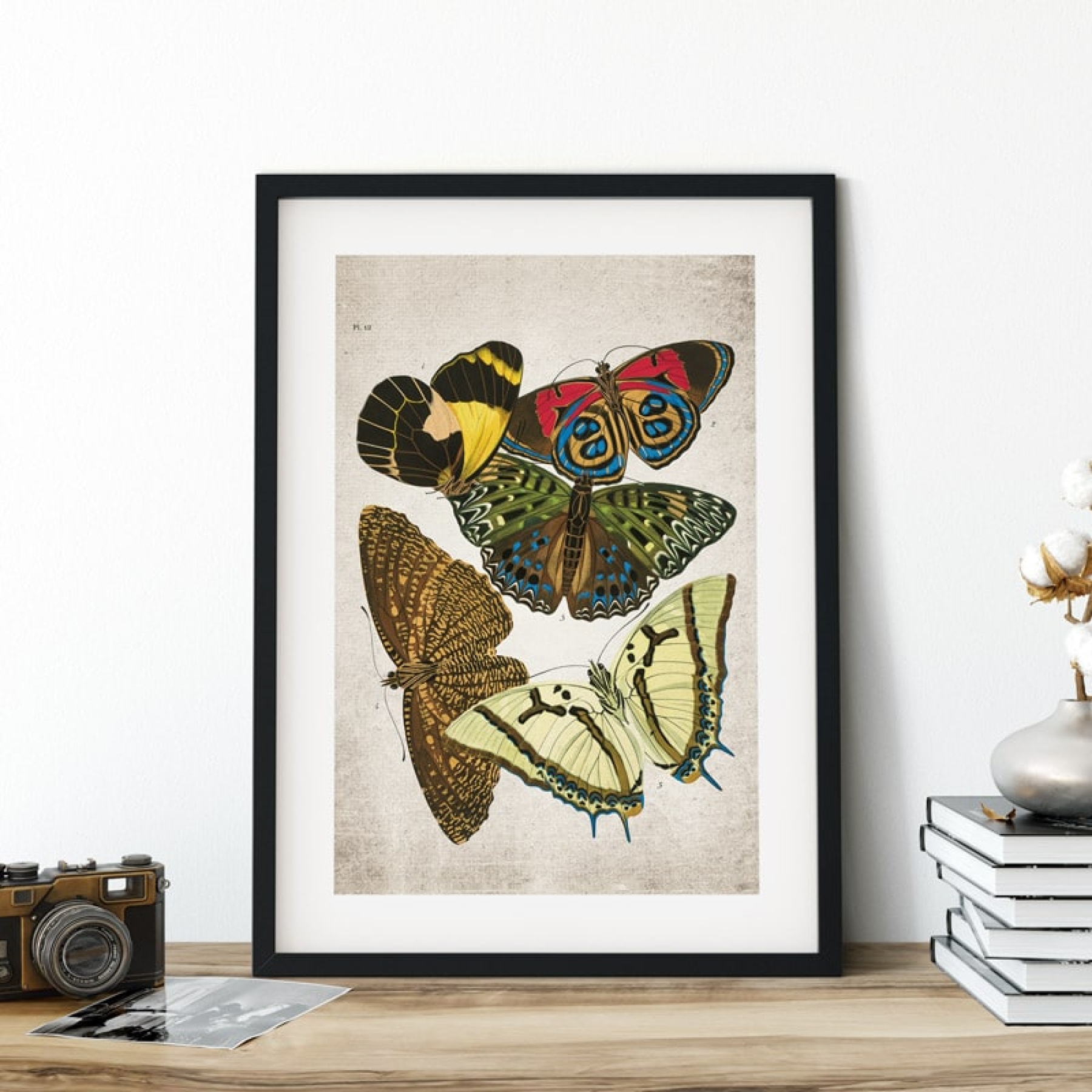Minibeast Vintage Entomology Giclee Print (Papilio Scene #9 from 1925)