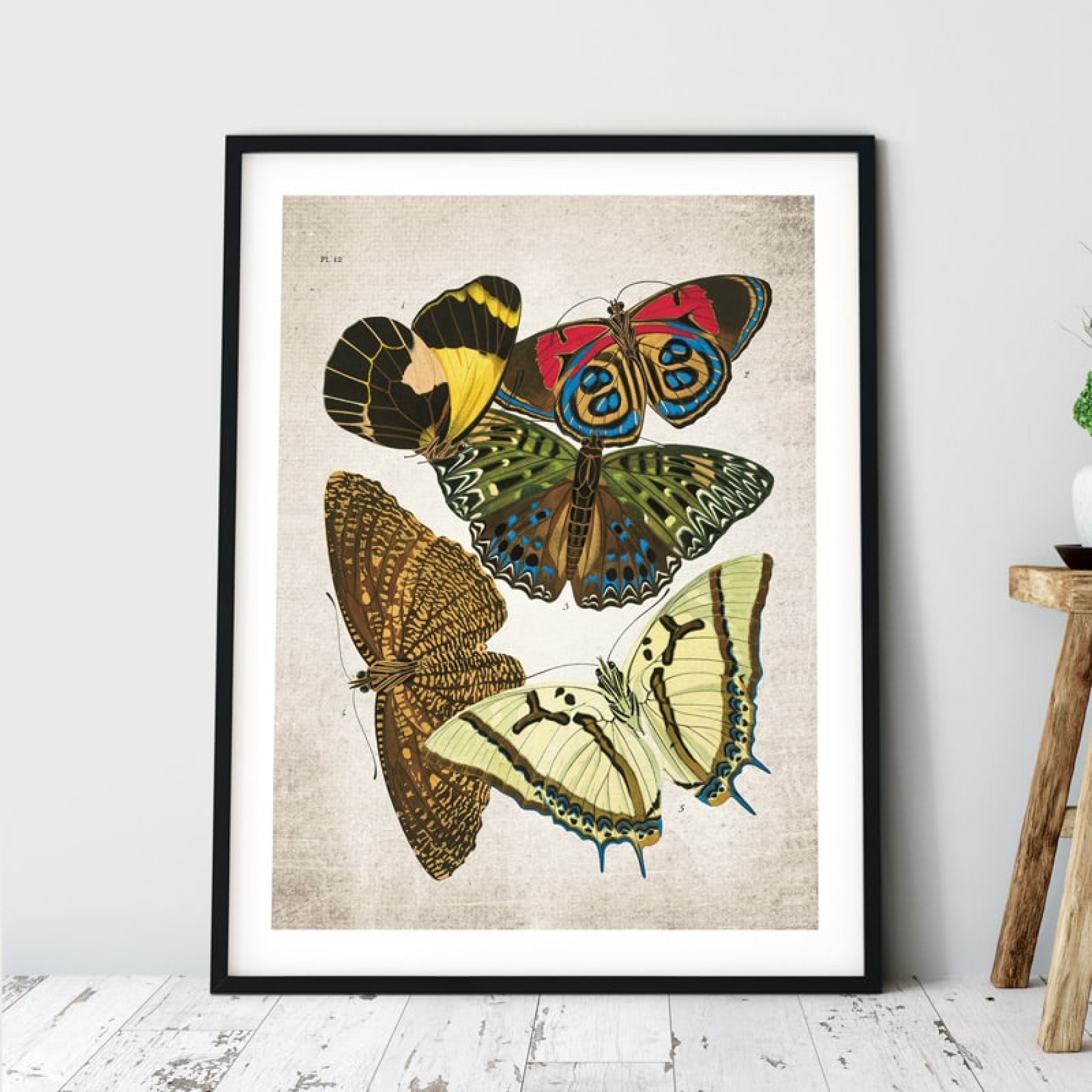 Minibeast Vintage Entomology Giclee Print (Papilio Scene #9 from 1925)