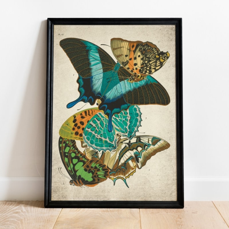 Vintage Entomology Giclee Print (Papilio Scene #10 from 1925)