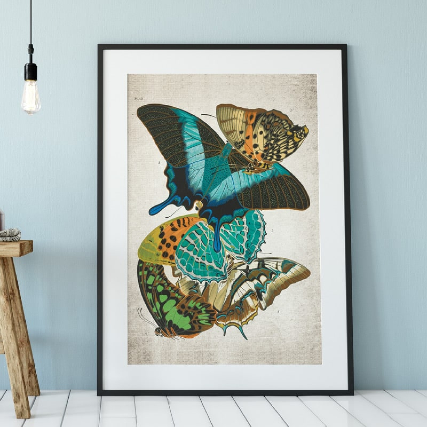 Vintage Entomology Giclee Print (Papilio Scene #10 from 1925)