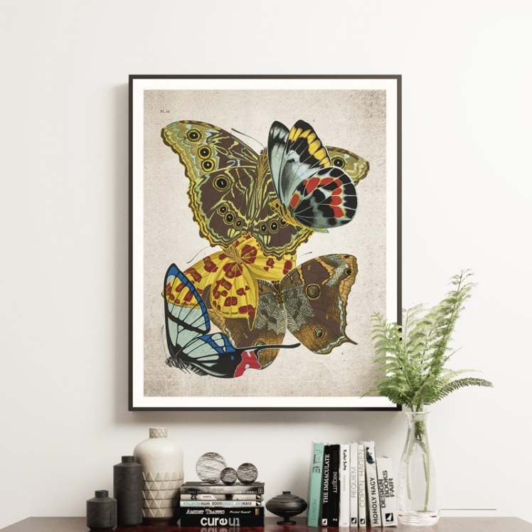 Vintage Entomology Giclee Print (Papilio Scene #11 from 1925) Vintage Entomology Giclee Print (Papilio Scene #11 from 1925)