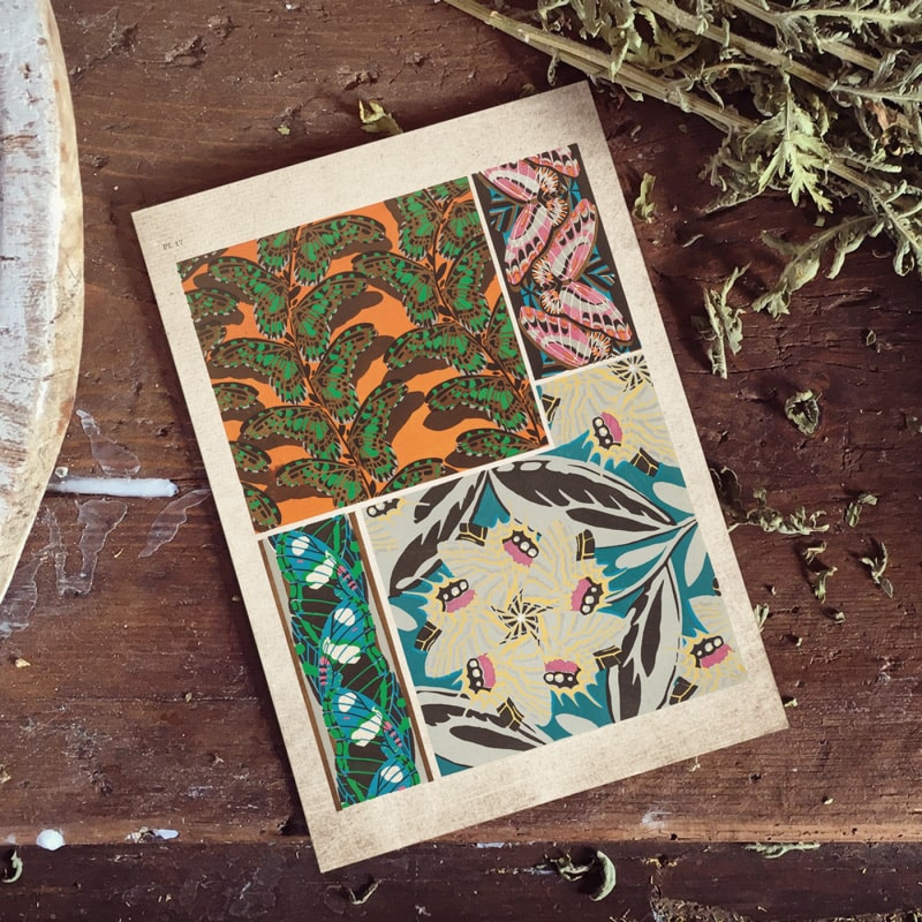 Vintage Entomology Giclee Print (Papilio Collage #2 from 1925)