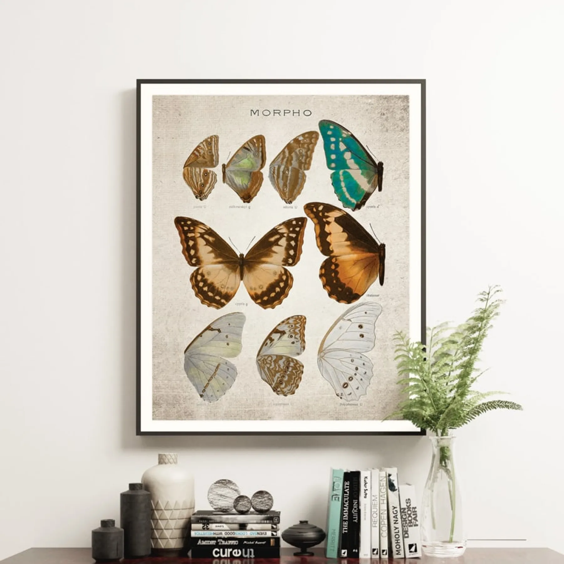 Minibeast Vintage Entomology Giclee Print (Morpho Collection 1 Plate From 1867)