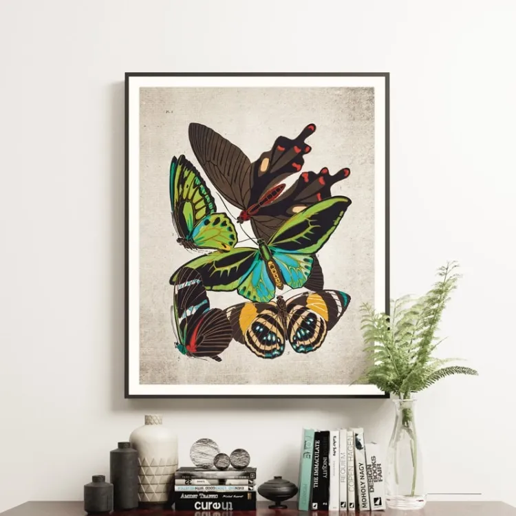 Vintage Entomology εκτύπωση giclée (Papilio Two 1925)