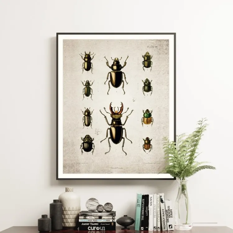 Vintage Entomology Giclee Print (Beetle Plate From 1867)
