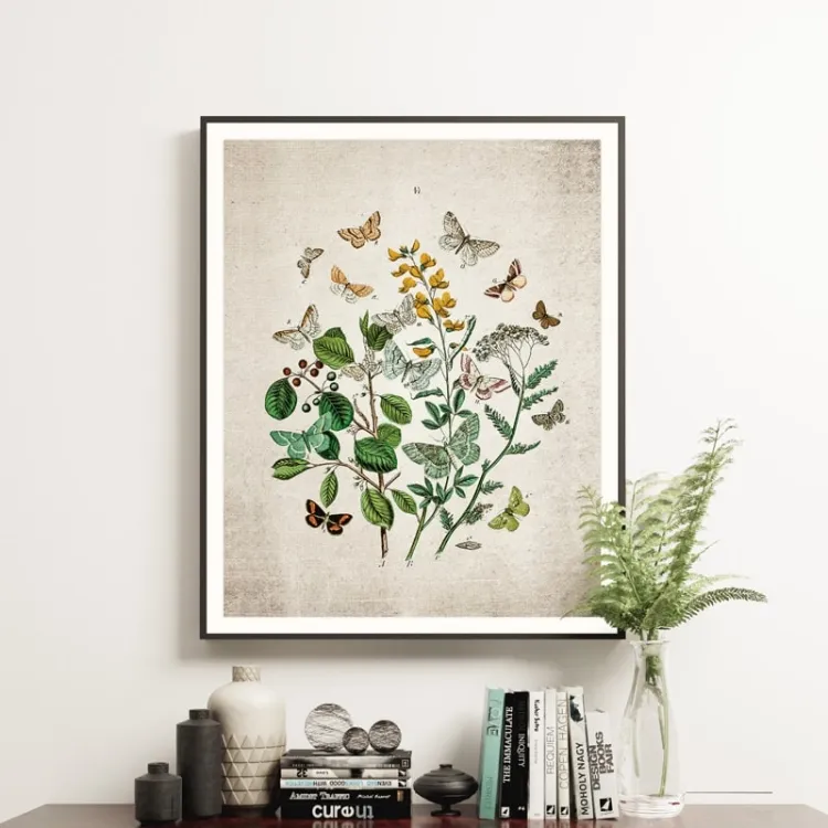 Vintage Entomology Giclee Print (British Butterflies Two Plate From 1882)