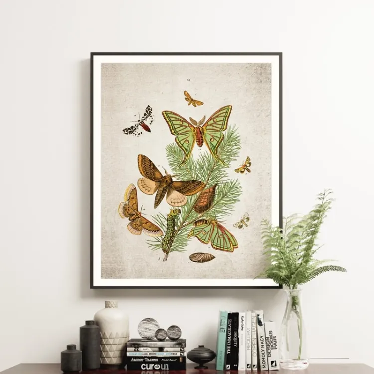 Vintage Entomology Giclee Print (European Moths Two Plate From 1882)
