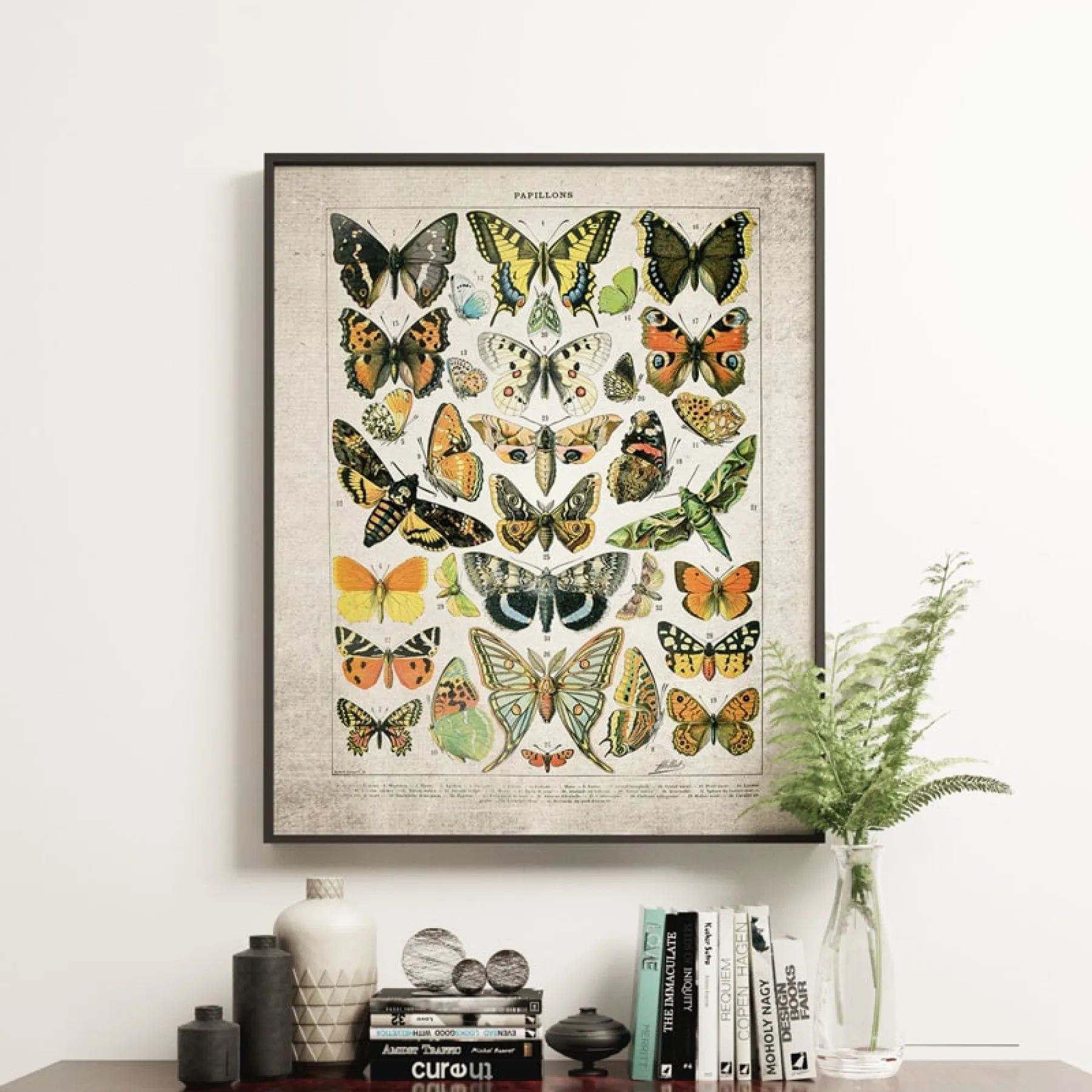 Vintage Entomology Giclee Print (Butterflies & Moths Plate From 1907)