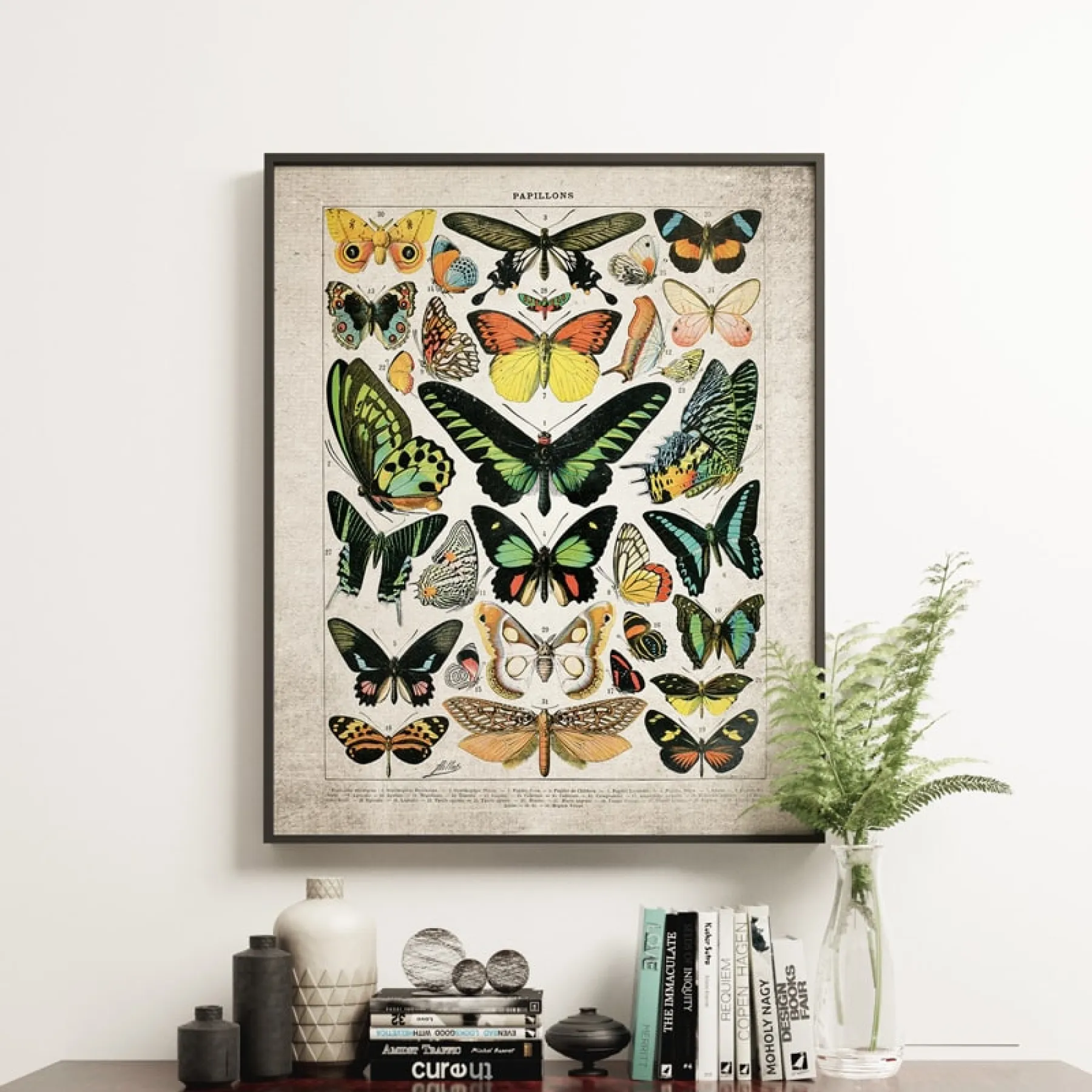 Minibeast Vintage Entomologie Giclée-Druck (Schmetterlinge & Motten Platte 2 von 1907)