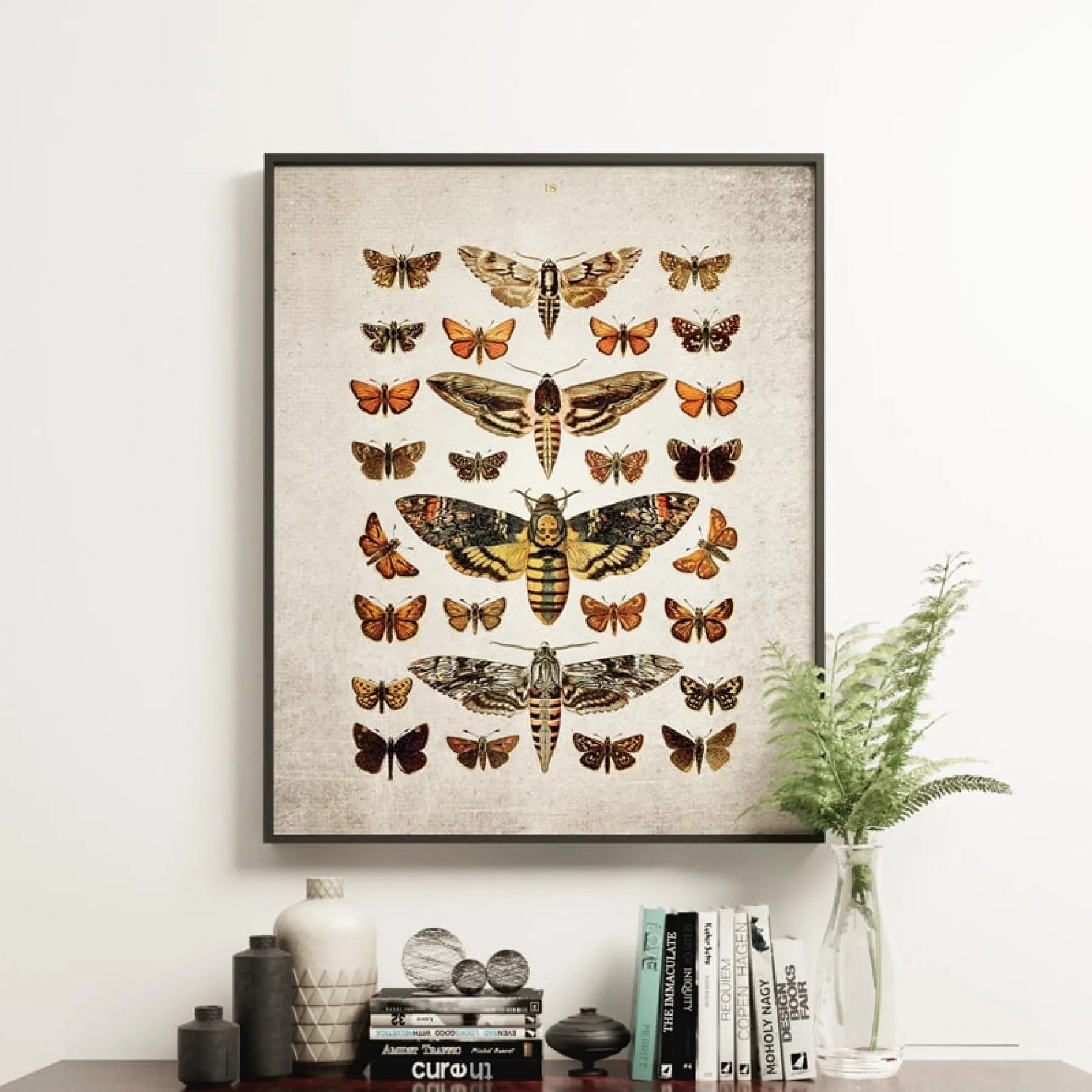 Minibeast Vintage Entomology Giclee Print (Death's Head & Moths Plate From 1907)