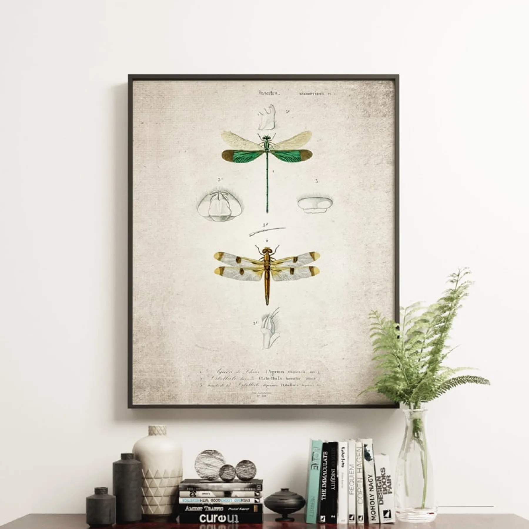 Minibeast Vintage Entomology Giclee Print (Dragonflies Plate From 1907)