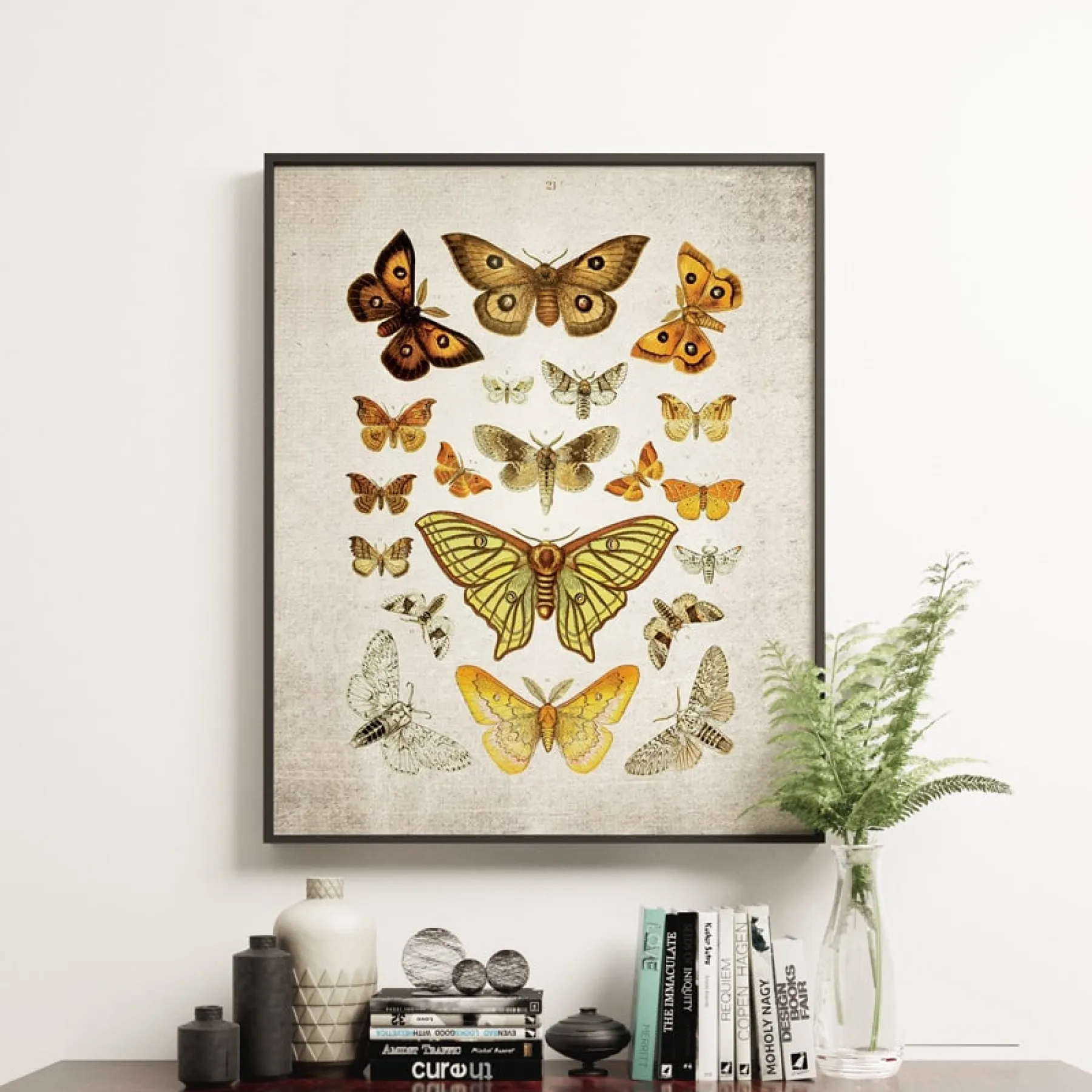 Minibeast Vintage Entomologie Giclée-Druck (Mottenplatte von 1857)