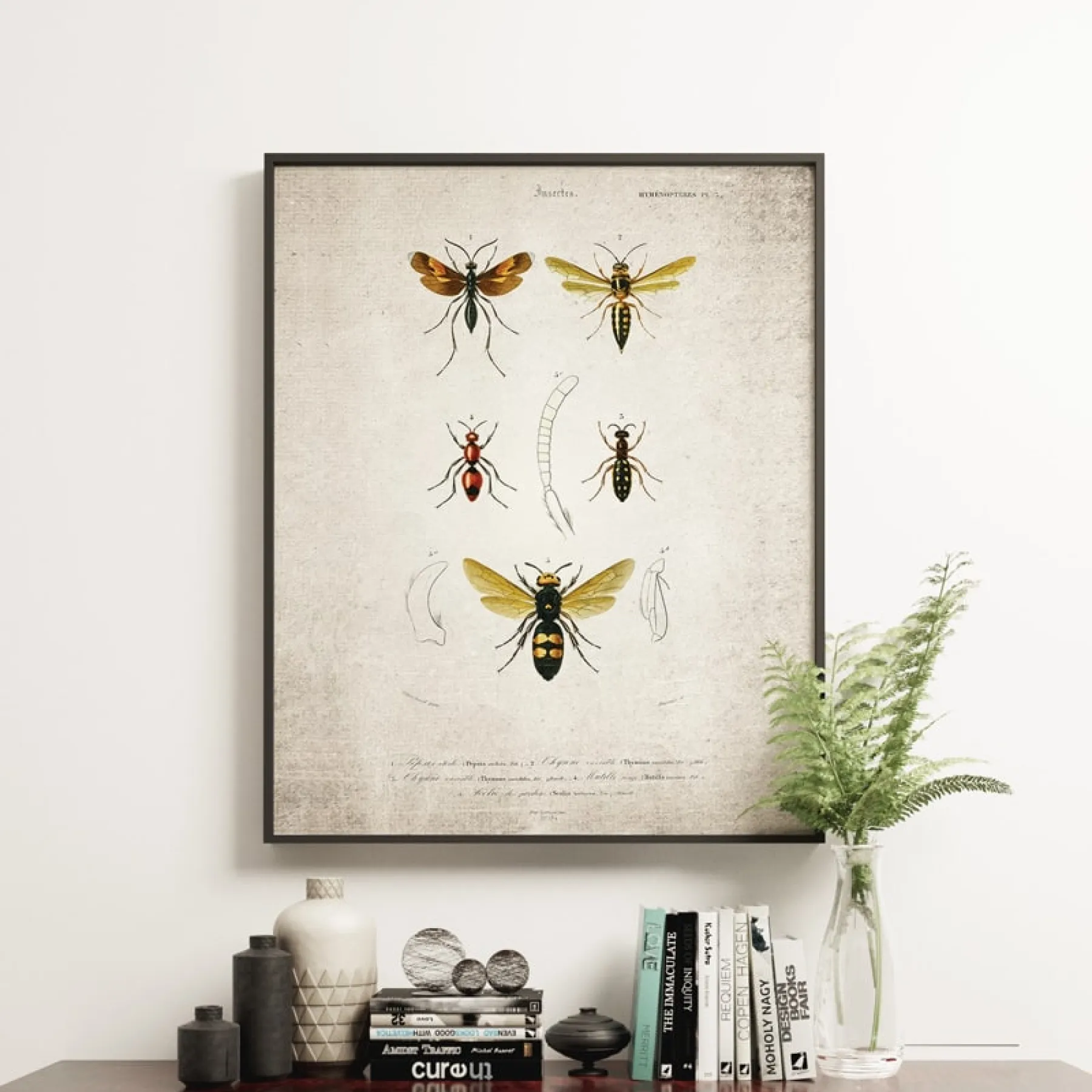 Minibeast Vintage Entomology Giclee Print (Wasp Plate From 1907)