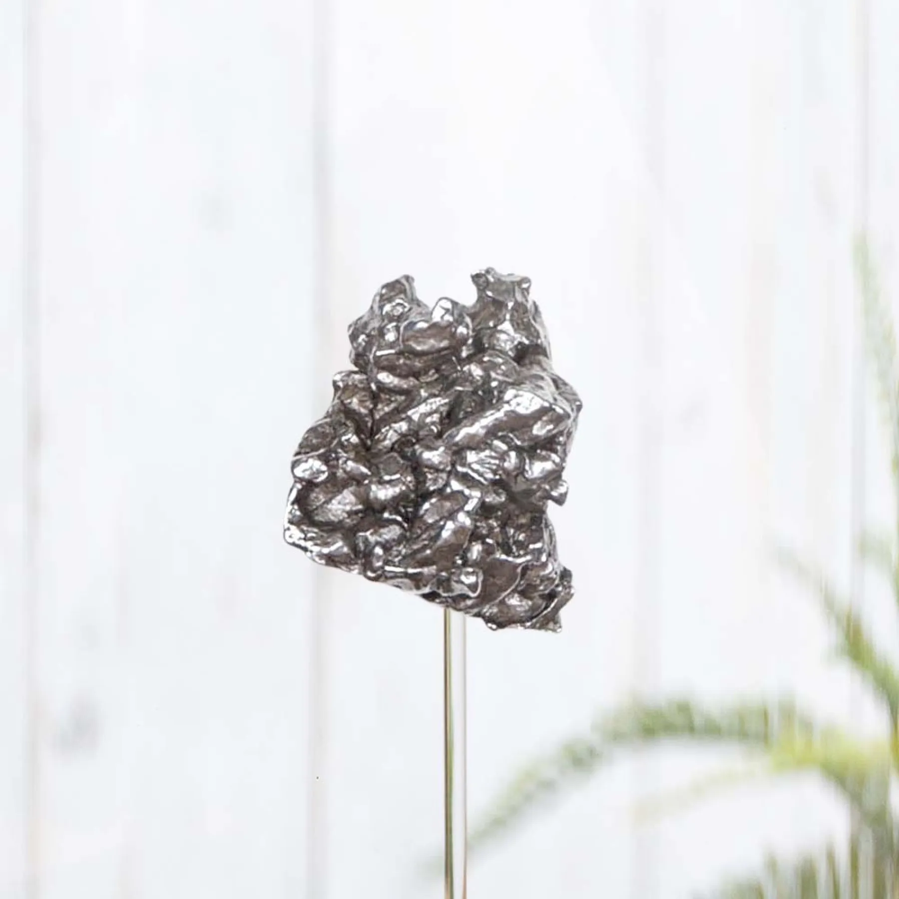 Minibeast Campo del Cielo Meteorite In Glass Dome with Wooden base