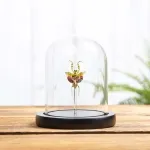 Minibeast Female Jewelled Flower Mantis In Glass Dome (Creobroter gemmatus)