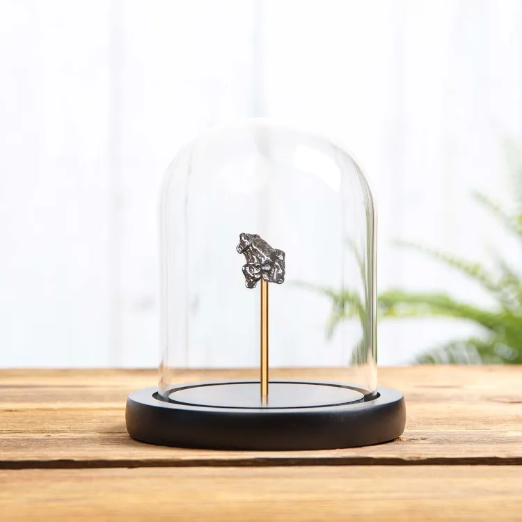 Small Campo del Cielo Meteorite In Glass Dome with Wooden base