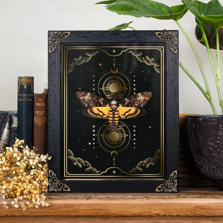 Death's Head Moth on Gold Foil Moon Phases Print (Acherontia atropos)