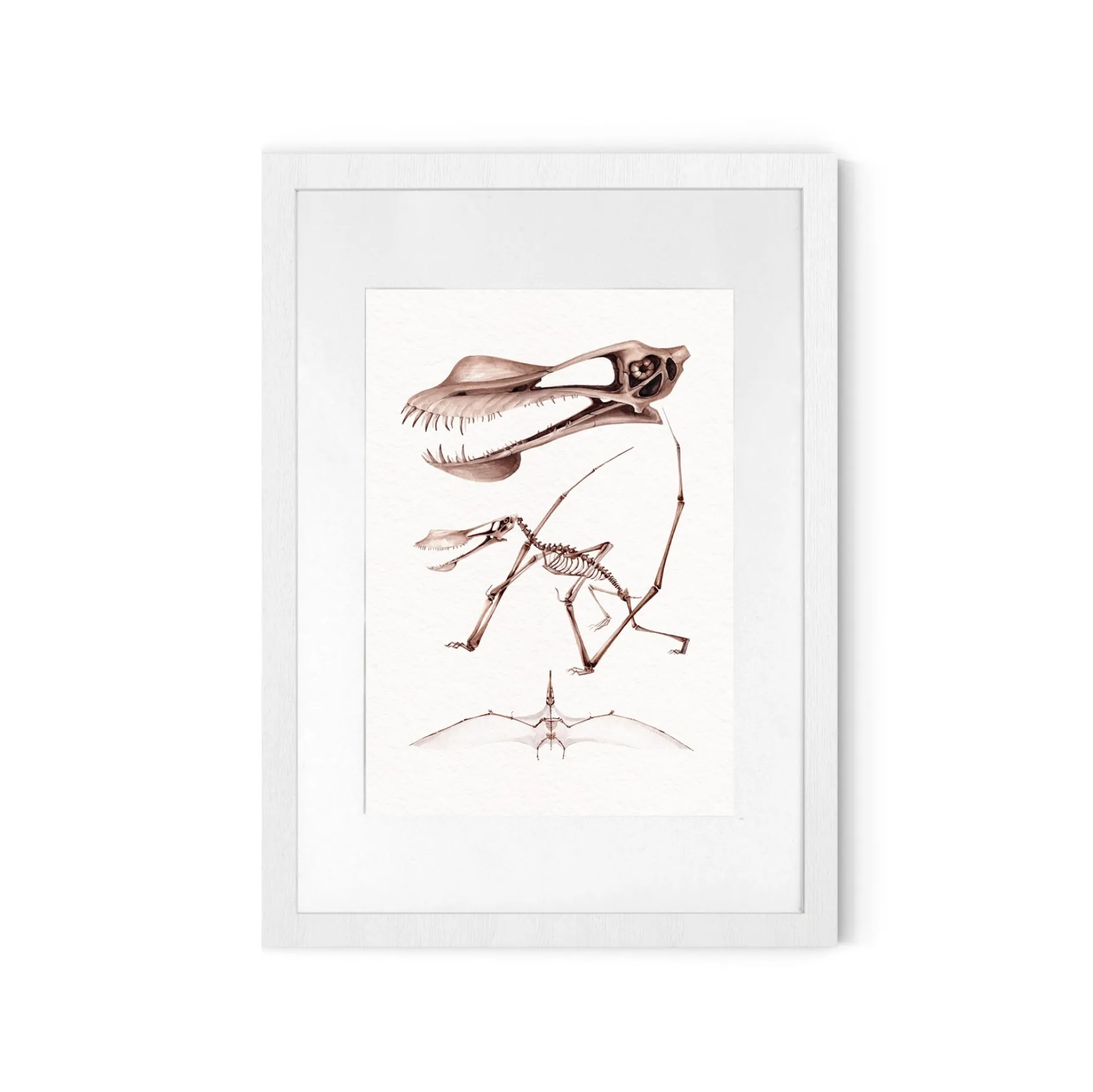 Minibeast Stampa Giclée Acquerello di Dinosauro Pterosauro Pterodattilo