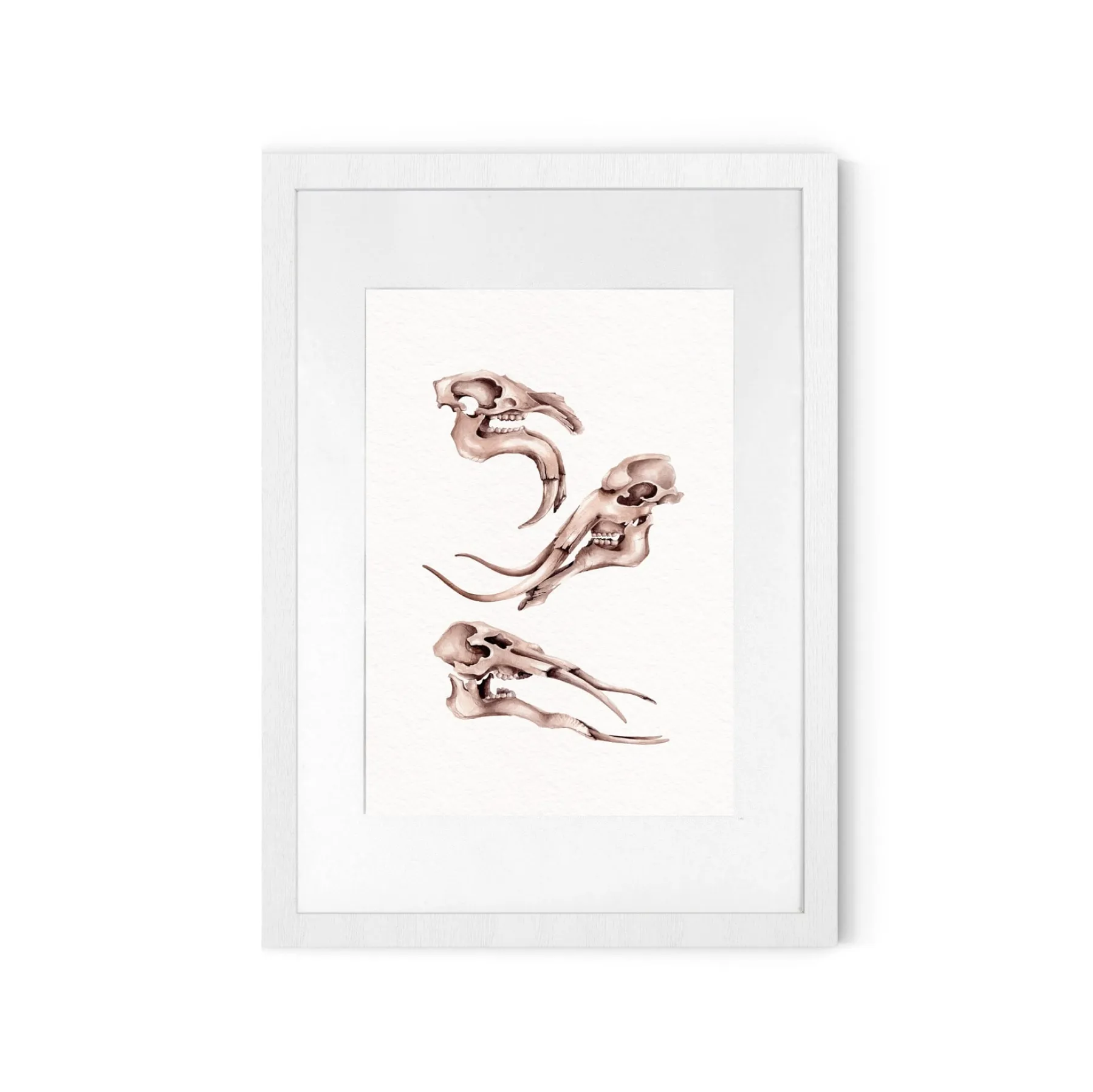 Neades Skeleton Watercolour Giclée Print Neades Skeleton Watercolour Giclée Print