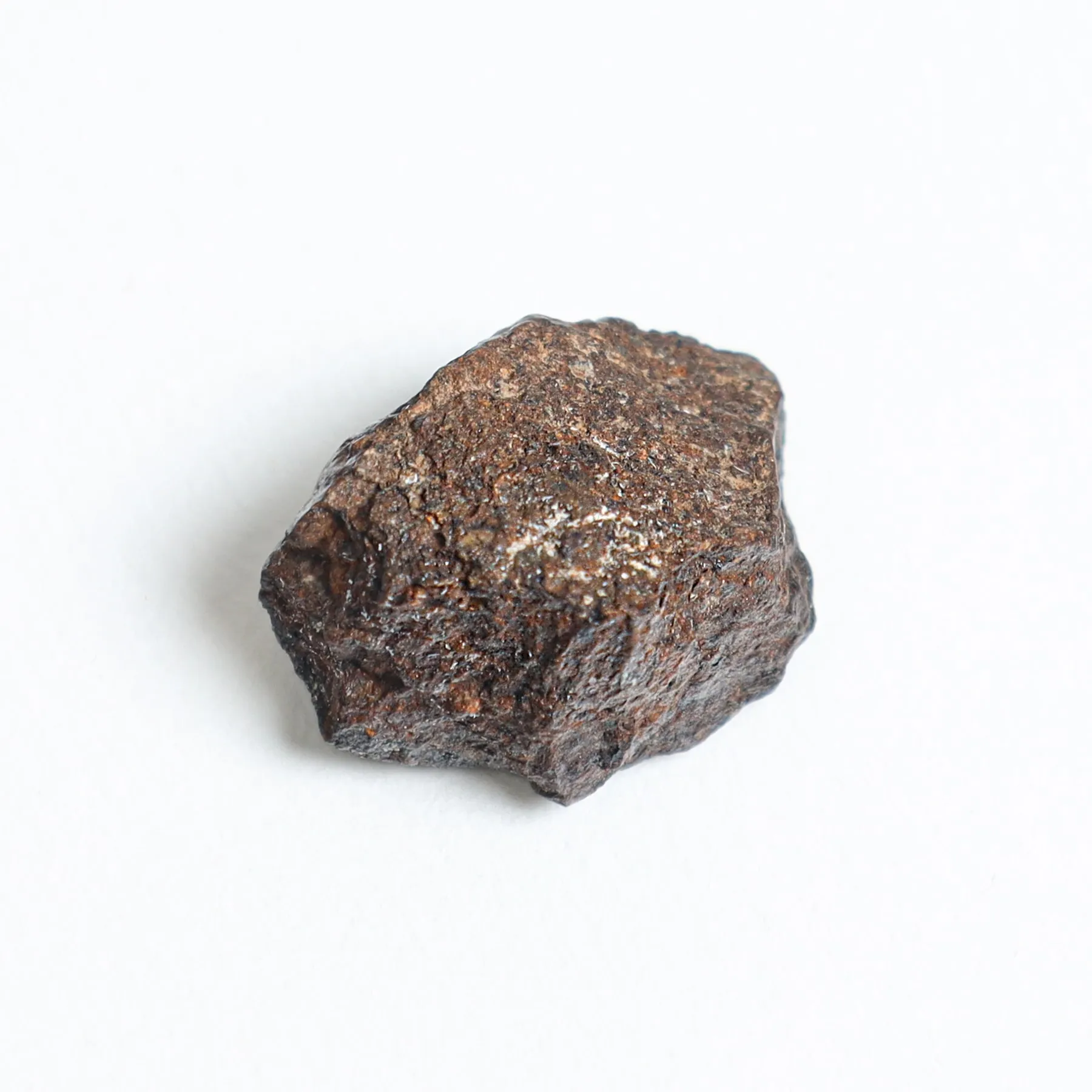 Minibeast Chondrite Meteorite uit Noord-Afrika in Lijst