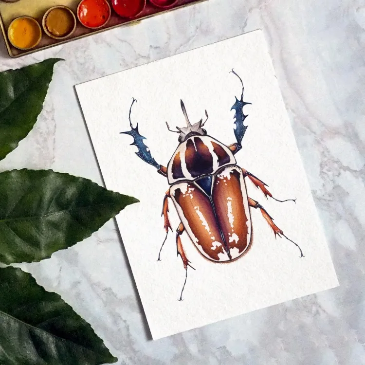 Giant Male African Flower Beetle (Mecynorrhina torquatus ugandensis) Watercolour Giclée Print