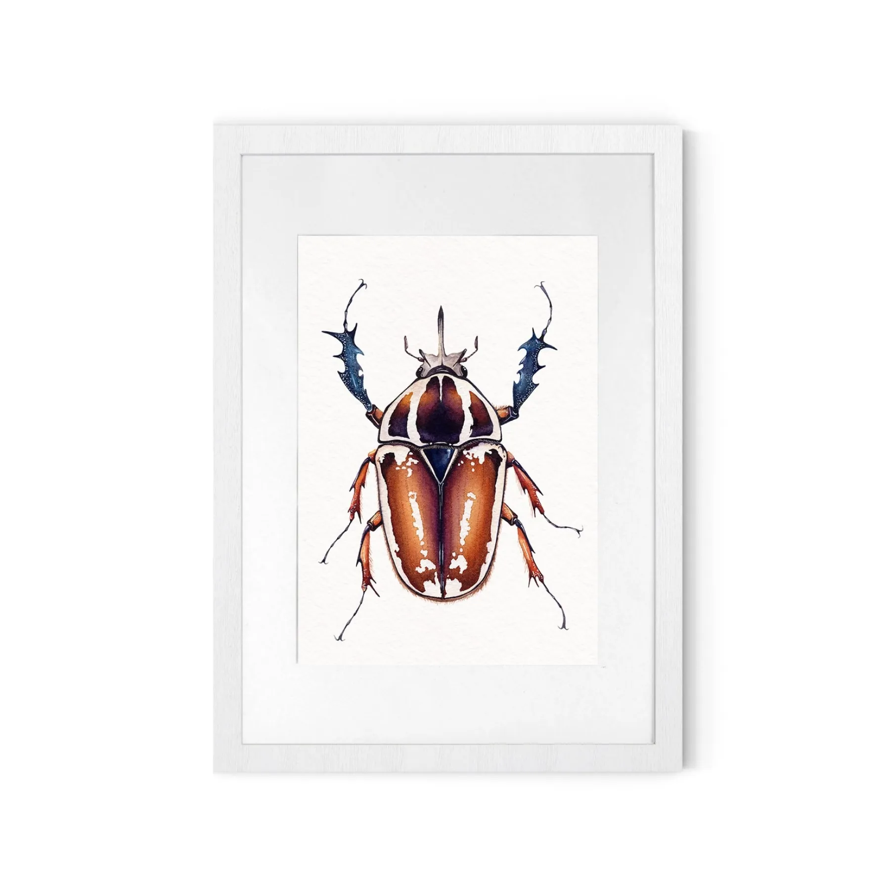 Minibeast Géant Scarabée Floral Africain Mâle (Mecynorrhina Torquatus Ugandensis) Impression Giclée Aquarelle