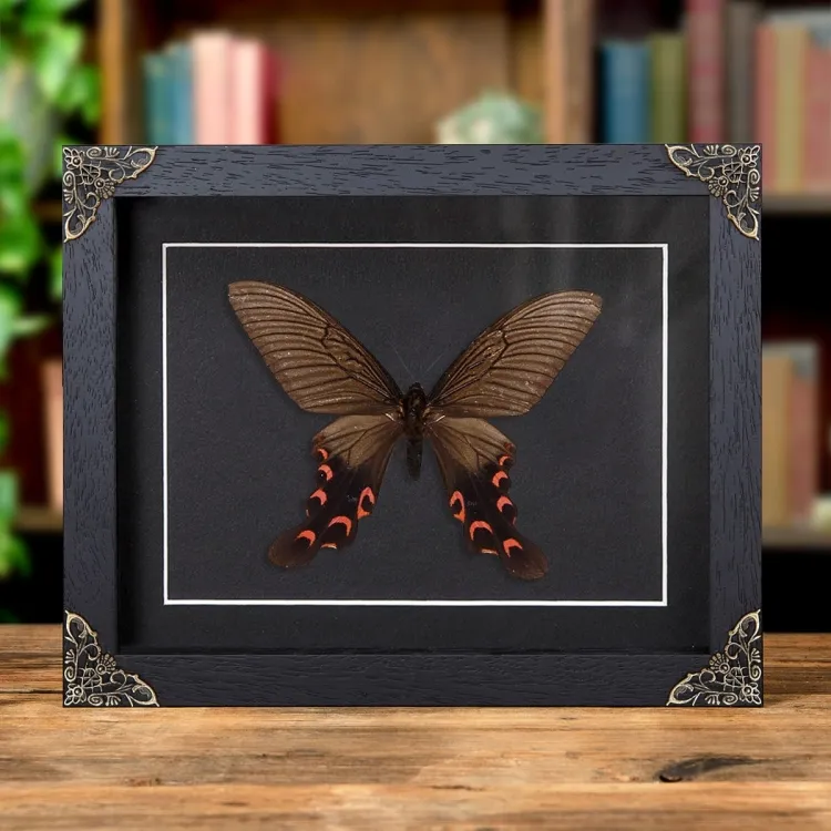 Agehana elwesi In Baroque Style Frame From China