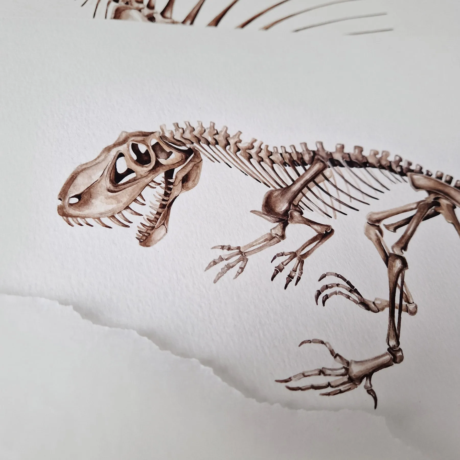 Minibeast Allosaurus Dinosaur aquarel gicléeprint