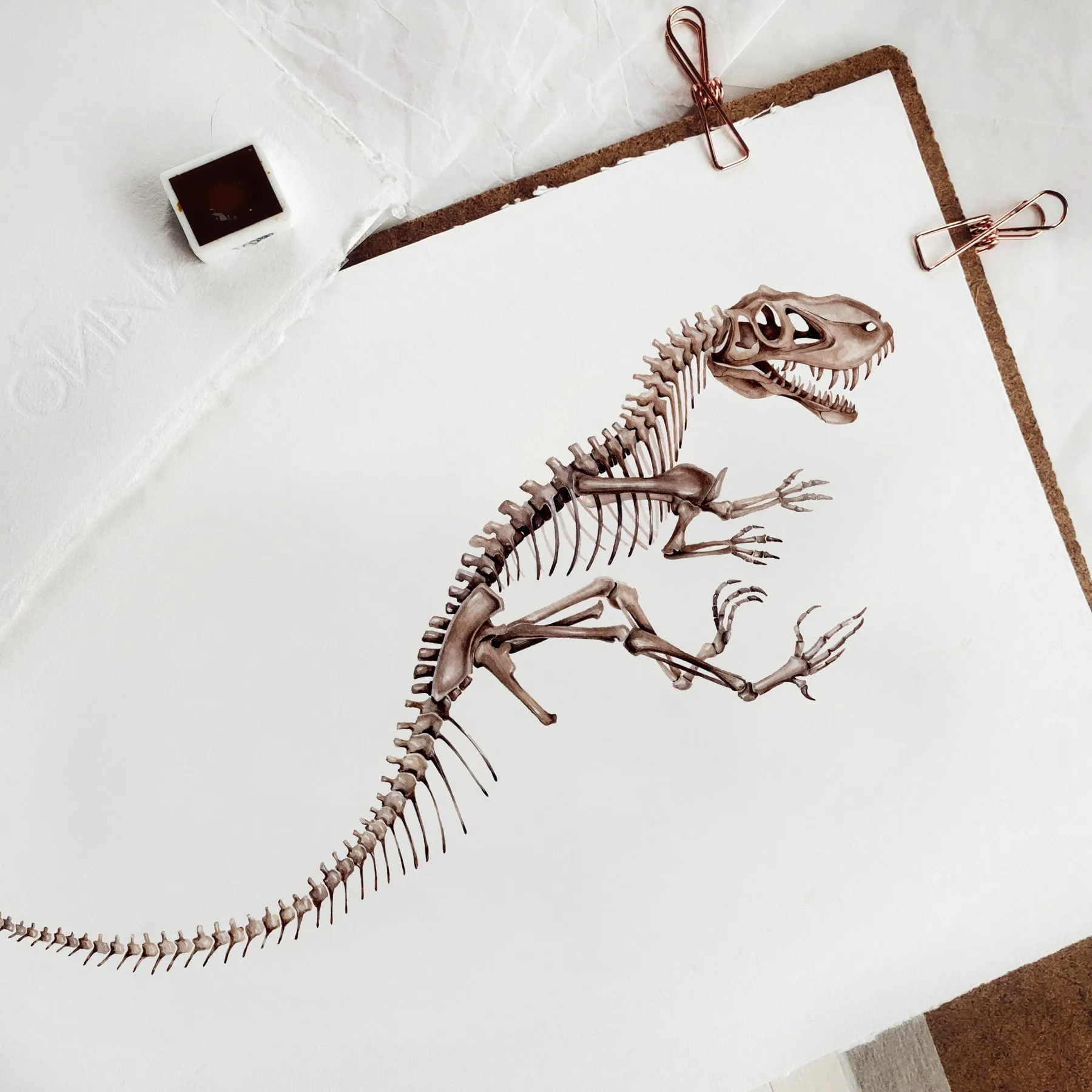 Minibeast Allosaurus Dinosaur aquarel gicléeprint