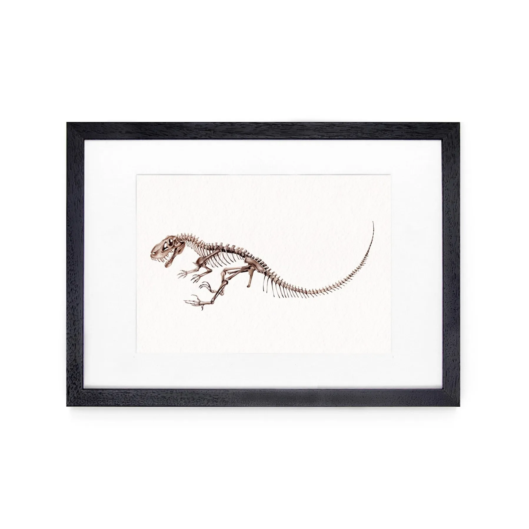 Minibeast Allosaurus Dinosaur aquarel gicléeprint