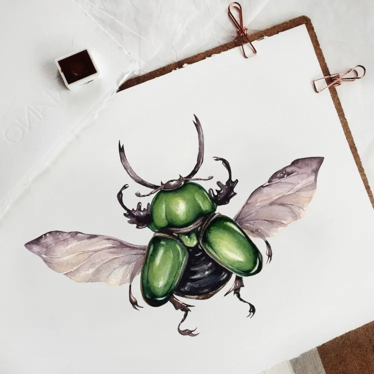 Male Saw Tooth Beetle (Lamprima adolphinae) Watercolour Giclée Print